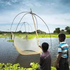 Fisheries Cluster Development Project